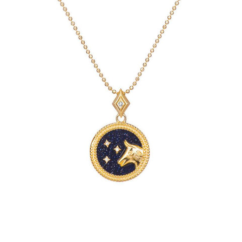 Zodiac Constellation Coin Necklace