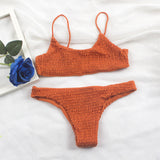 Pleated Stretch Bikinis